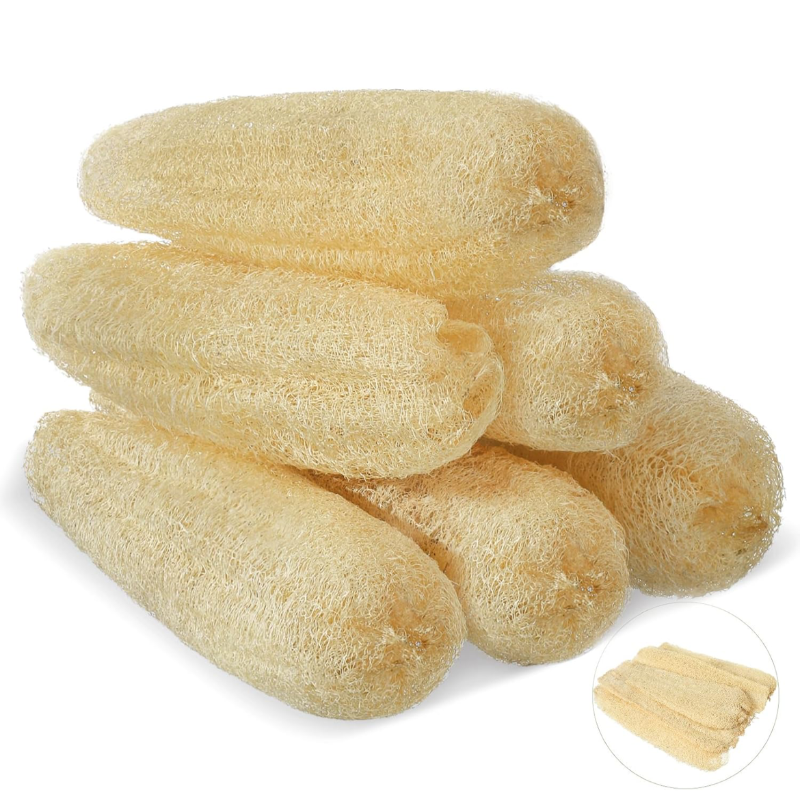 Loofah Sponge